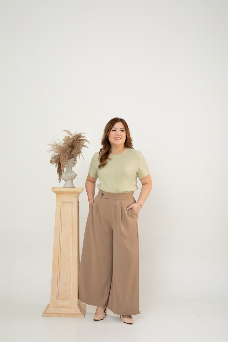 Front Pleat Pants (Brown)