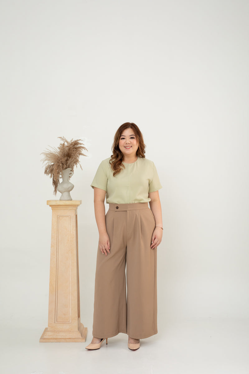 Front Pleat Pants (Brown)