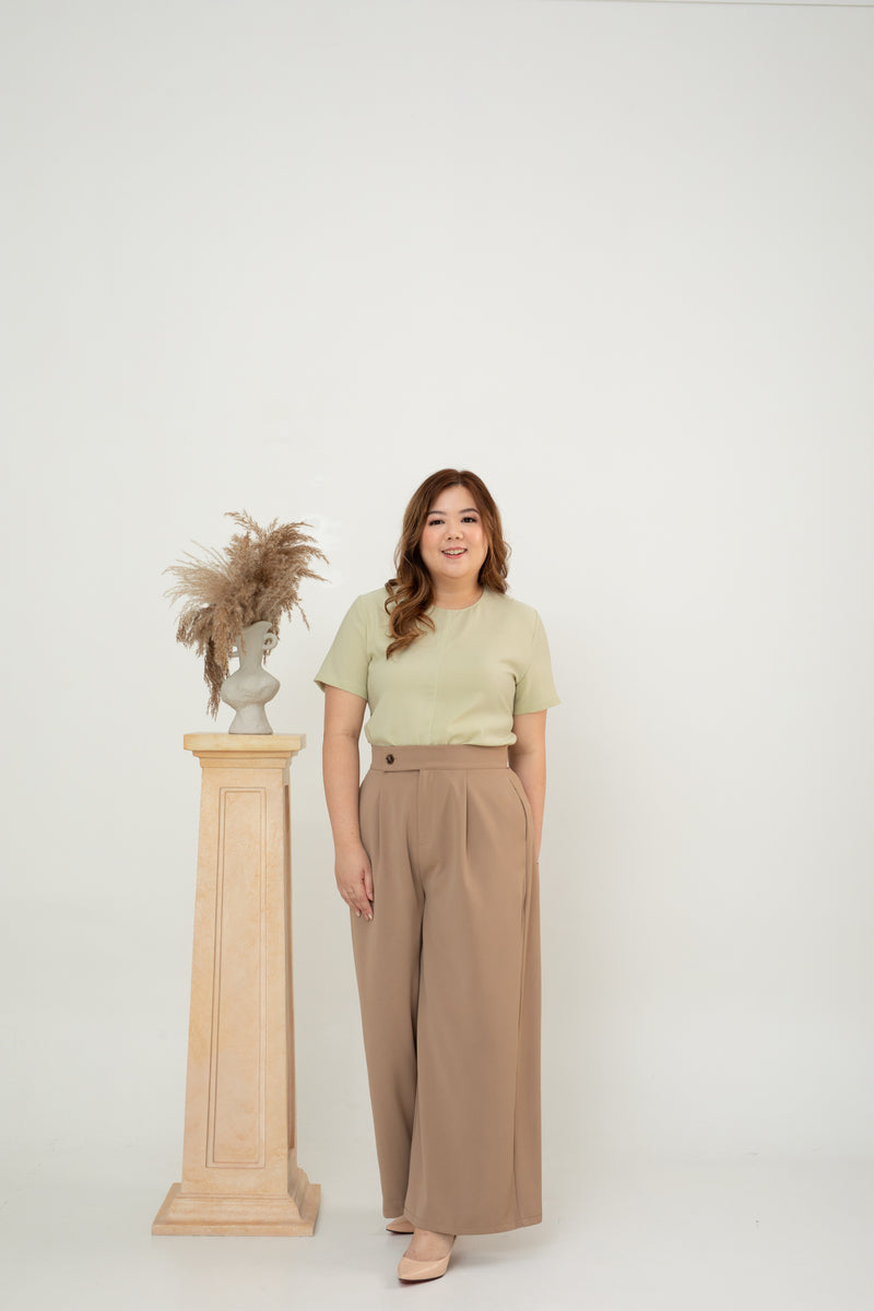 Front Pleat Pants (Brown)