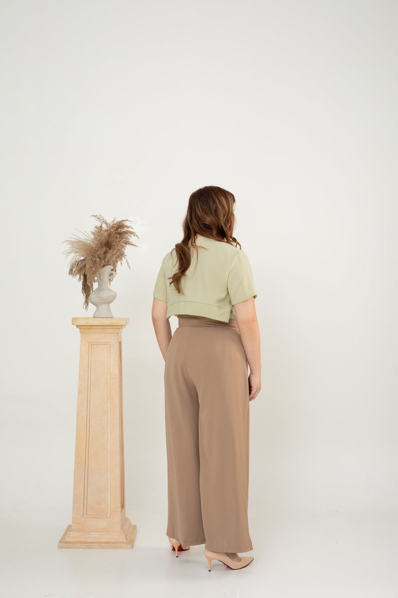 Front Pleat Pants (Brown)