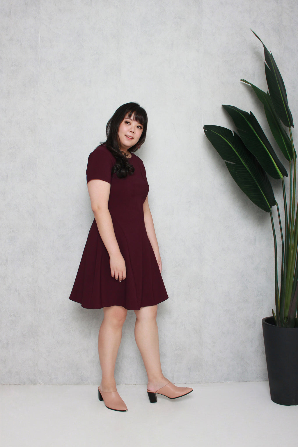 Classic Skater Dress (Maroon), Dress - 1214 Alley